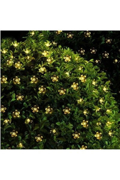 Skygo Solar 30 Ledli Çiçekli Günışığı Bahçe Aydınlatma Dekorasyon Güneş Enerjili