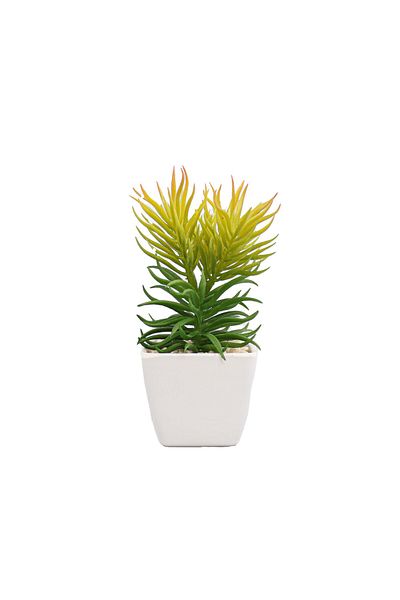 Ella Home Italia Artificial Floral Arrangement, Green, Plastic, 17cm - Green, Plastic, 17cm