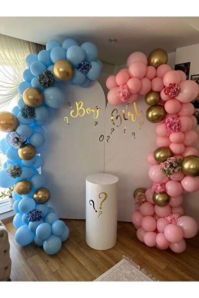 PartyLab Cinsiyet Partisi Konsepti Profesyonel Organizasyon Seti