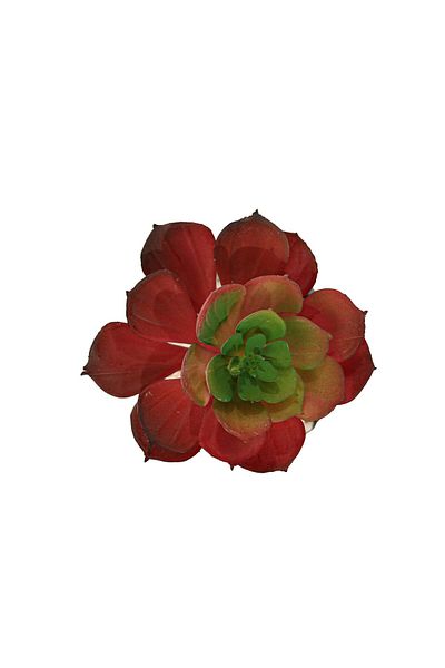 Ella Home Italia Succulent Plant In Pot, Grey, Plastic, 16Cm - Red, Plastic, 16cm