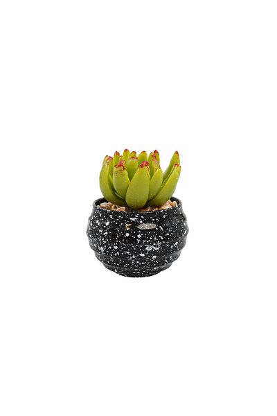 Ella Home Italia Round Succulent Plant Pot, Green, Plastic, 8cm - Green, Plastic, 8cm