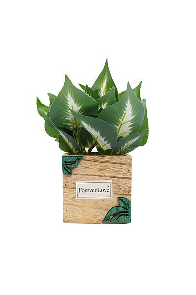 Ella Home Italia Wooden Flower Pot, Green, Plastic, 22Cm - Green, Plastic, 22cm