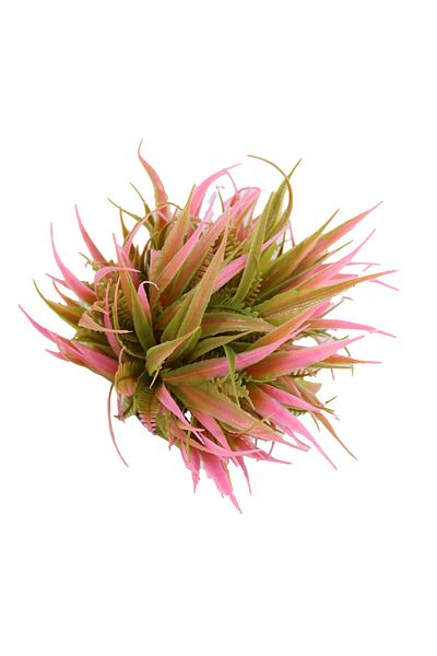 Ella Home Italia Aranjament In Ghiveci, Roz, Plastic, 20cm - Roz, Plastic, 20cm