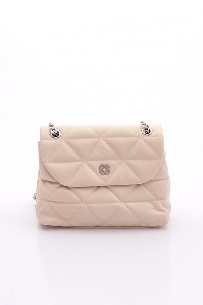 DGN 526 Women's Chain Shoulder and Shoulder Bag