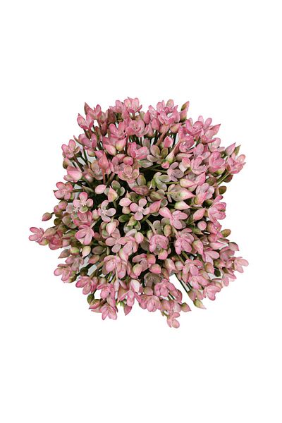 Ella Home Italia Ghiveci Cu Flori, Roz, Plastic, 16cm - Roz, Plastic, 16cm