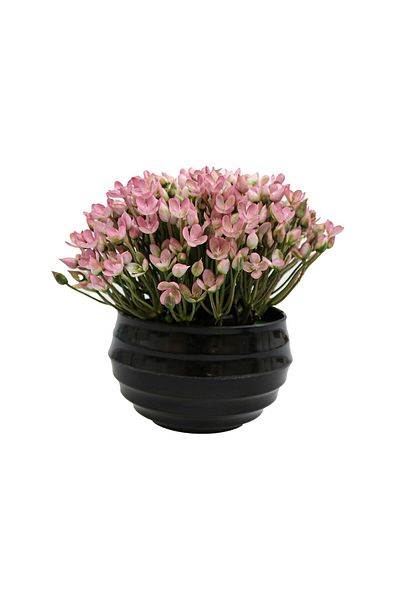 Ella Home Italia Ghiveci Cu Flori, Roz, Plastic, 16cm - Roz, Plastic, 16cm
