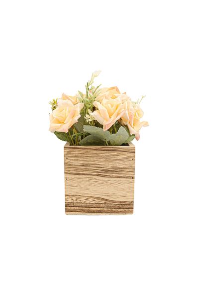 Ella Home Italia Rose Arrangement, Cream, Plastic, 17Cm - Cream, Plastic, 17cm