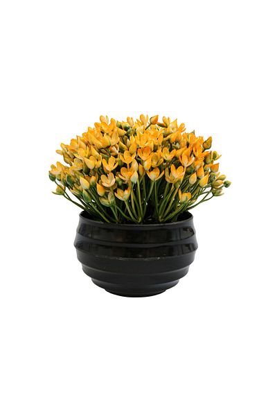 Ella Home Italia Flower Pot, Orange, Plastic, 16Cm - Orange, Plastic, 16cm