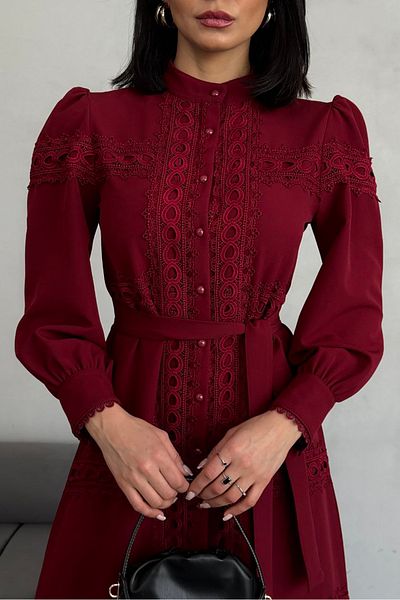 Neşeli Butik Women's Burgundy Lace Dress - Nbemp2677