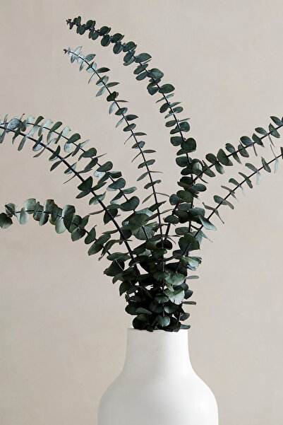 Çiçek Yeşil Okaliptus Yaprak Şoklanmış (4-5-6 DAL)