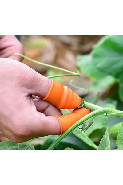 Skygo Practical Thumb Vegetable Cutting Sorter Men's L Set