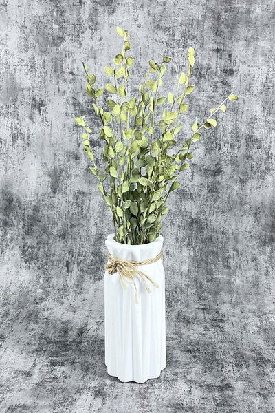 Goya Home Kurutulmuş Sedef Çiçeği Naturel 15 Dal