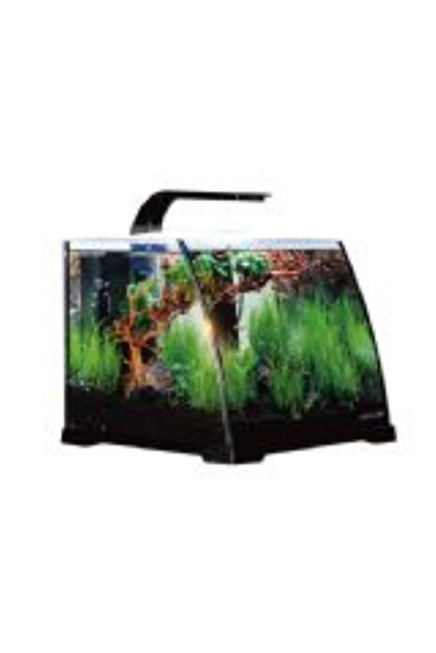 ANUBIAS AQUARIUM LIVE PLANTS Anubias Nano Tank 30 x 29,8 x 25,7 Cm Siyah