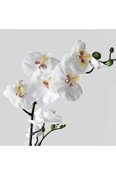 IKEA Artificial Plant in Pot, White Orchid, 12 cm