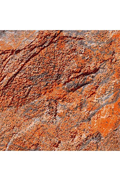 dreamwall Duvar Kağıdı 3 Boyutlu Sıva Desenli Isı Ve Ses Yalıtımlı Tekstil Duvar Kağıdı