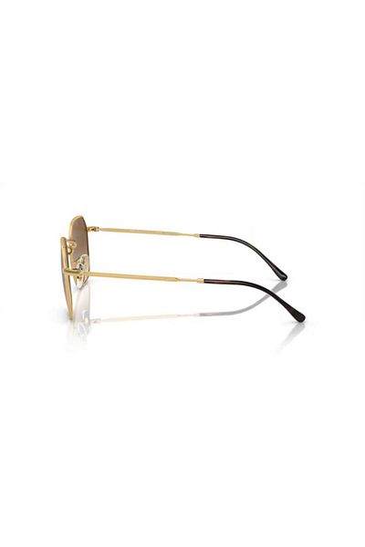 Ray-Ban Ray Ban Unisex Irregular Jim Sunglasses- Rb 3694 - Lense Size:55mm - Arista