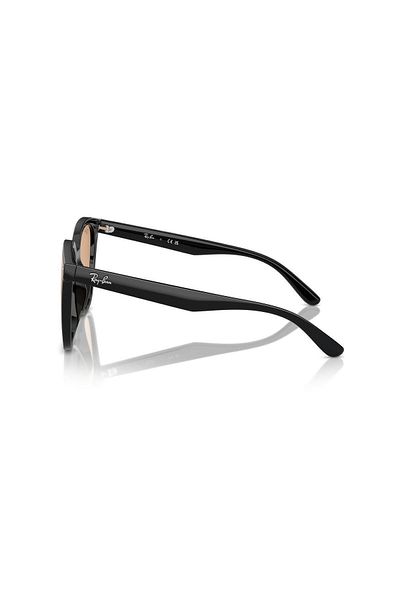 Ray-Ban Ray Ban Unisex Irregular Sunglasses- Rb 4423d - Lense Size:66mm - Black