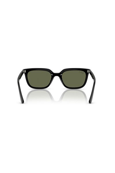 Ray-Ban Ray Ban Unisex Square Sunglasses- Rb 4439d - Lense Size:54mm - Black