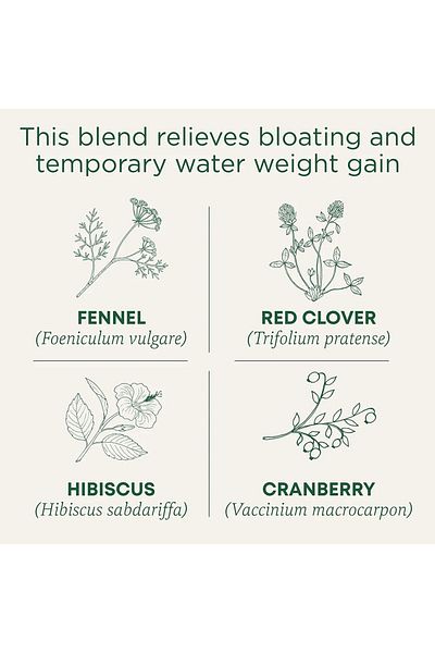 TRADITIONAL MEDICINALS شاي التوت البري العضوي خفيف الوزن، يخفف من زيادة الوزن بسبب الماء، 16 كيس شاي