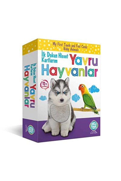 Circle Toys Dokun Hisset Yavru Hayvanlar 18 Kart,36 Görsel