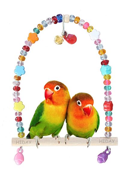 Ankara Yem Evi Cockatiel Paradise Lovebird Beaded Swing