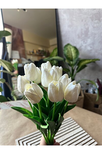 Kalya Concept Yapay Çiçek Islak Lale 8'li Gerçekçi Görünüm Karanfil Pampas Okaliptus Kokina-bitki Dalı