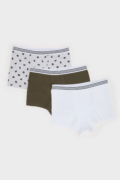 DeFacto Boy's Cactus Patterned 3-Piece Boxer E6871A825Sp
