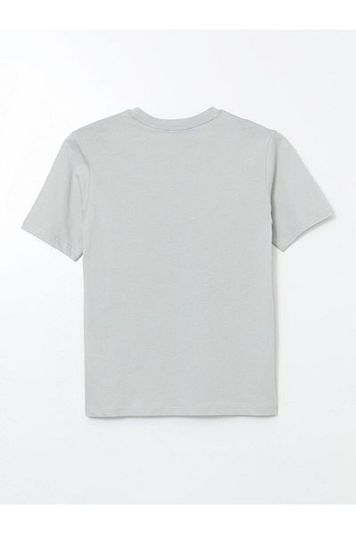 LC Waikiki Xside Gray Crew Neck Garfield Printed Combed Cotton Men's T-Shirt