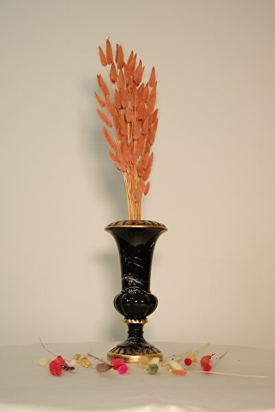 ÇINARASYADAHOME Φυσικό αποξηραμένο βαμβακερό βότανο, πορτοκάλι ουράς κουνελιού