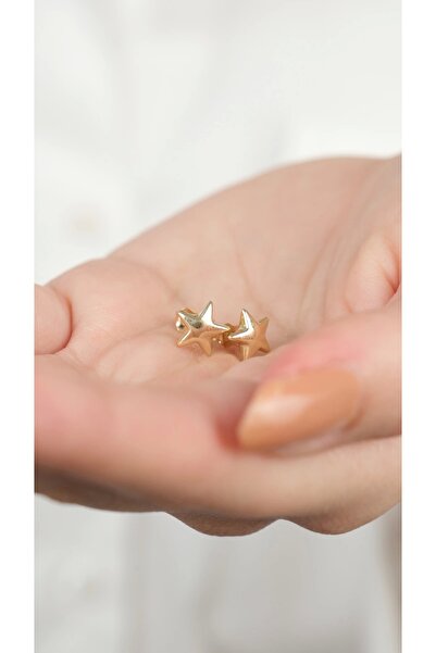 Arpaş 14 Ayar Altın Yıldız Vidalı Küpe