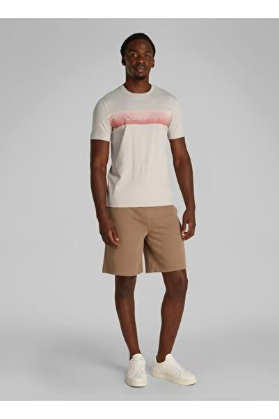 Calvin Klein Erkek Kısa Kollu Pamuklu Bisiklet Yaka Calvin Klein Yazı Detaylı Gri T-Shirt K10K114163-PBQ