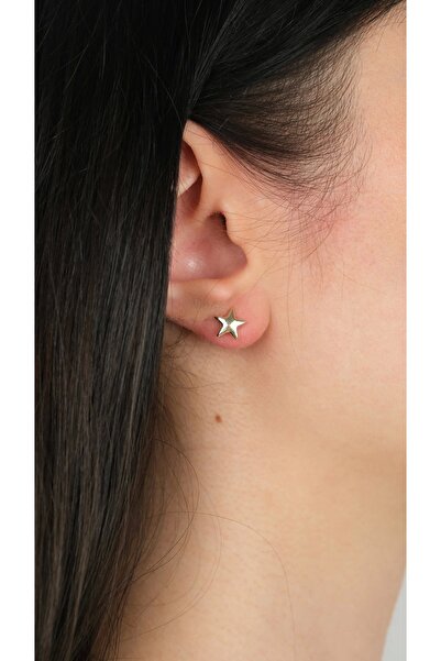 Arpaş 14 Ayar Altın Yıldız Vidalı Küpe