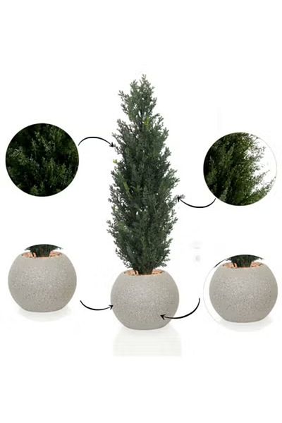 co arma Artificial Simulation Cypress Tree for Garden, Home and Balcony Decoration 65cm