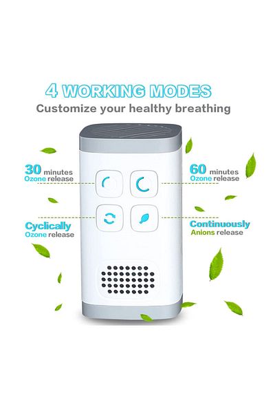 Choice EU Mini Ozone & Anion Air Purifier 2 in 1 Plug in, Compact Size, Purifying Air Eliminate Odor for Ho