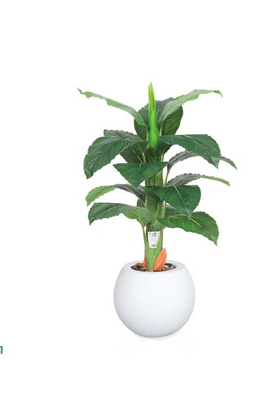 co arma Artificial tree simulating a real banana tree, 75 cm high