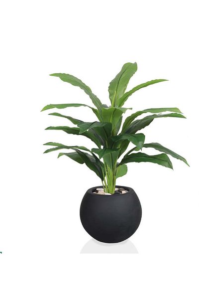 co arma Artificial tree simulation of a real corn tree, 65 cm high