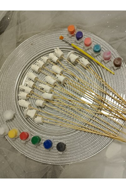 Nas Saksi süsü boyama seti saksida kaktus çiçek 12 renk boya+firca+vernik