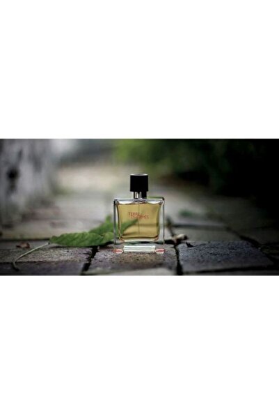 Hermes Terre D Hermes Edp 75ml