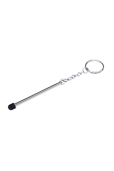 Generic Mini Plastic Silver Stylus Keychain Silver