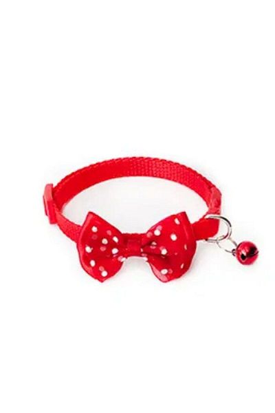 Kedi Aksesuar Cat neck collar