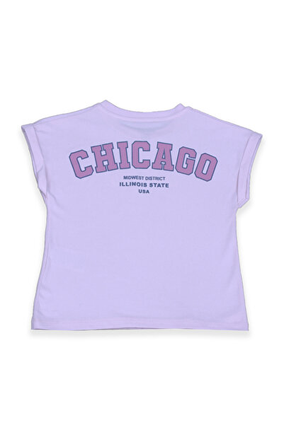 Lilo Co Chicago Illinois State Tee