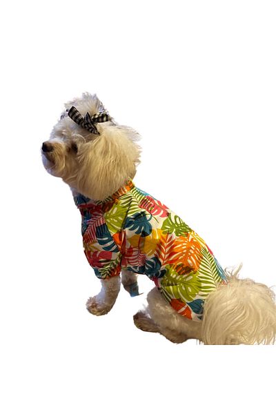 GedyCo Colorful Palm Mesh Small Breed Dog Raincoat