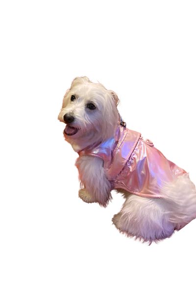GedyCo Shiny - Vest (Fleece Lined)