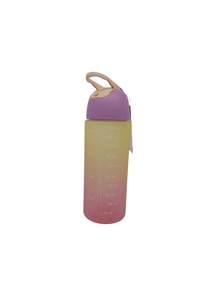 Vicco Pink Sumac 500ml Locking Lid Tritan Flask