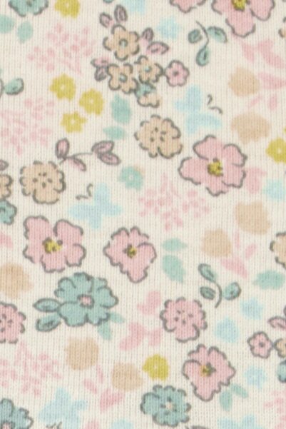 Carter's Kız Bebek Elbise Set 2'li Paket