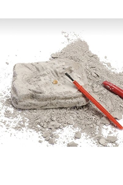 AZİZ OYUNCAK Stegosaurus Genus Skeleton Fossil Dinosaur Excavation Kit 8X9Cm Cardboard Box