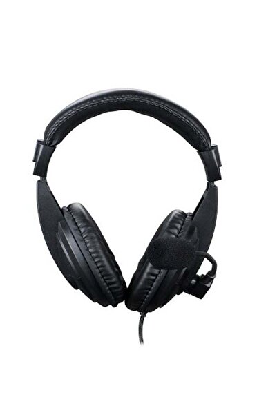 Generic Computer Multimedia Headphone with Two for Mic 3.5mm