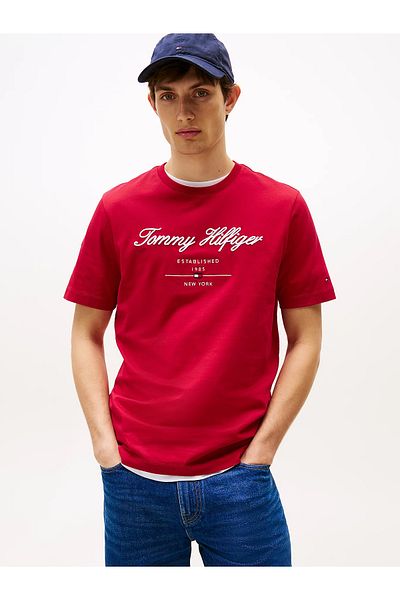 Tommy Hilfiger Men's Regular Fit Printed Round Neck Cotton Short Sleeve Red T-Shirt Mw0Mw33691-Xld