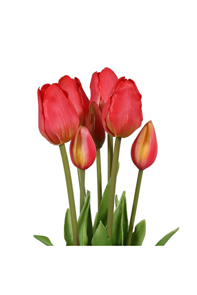 Omelas Yapay Çiçek Lale Demet Islak Dokulu Kaliteli Mercan Rengi 45 Cm. 7 Dal...
