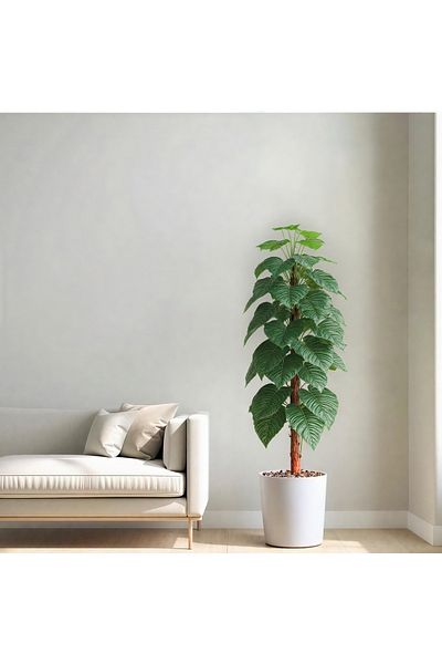 Ebticar Artificial Heart Leaf (Alocasia) Tree in a Cylinder Plastic Pot-Spray White